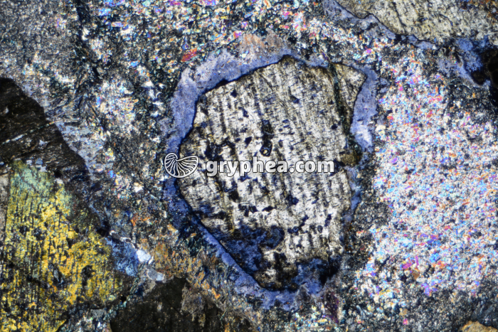 Glaucophane LPA x7 - gryphea.com